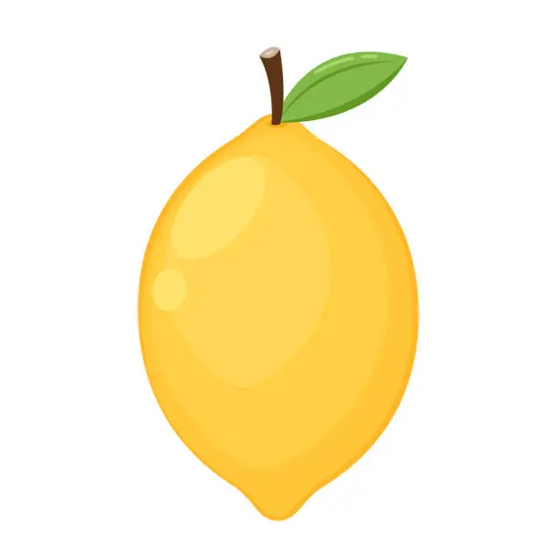 Vector illustration of Lemon cartoon vector. Lemon on white background.