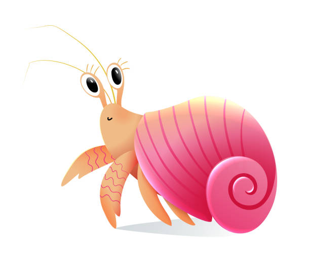 Baby Hermit Crab with Pink Shell Cute Creature Cute baby animal design, little girl hermit crab cartoon. Crab with shell, funny character design for children, adorable marine creature mascot. Hilarious crustacean vector illustration. hermit crab stock illustrations