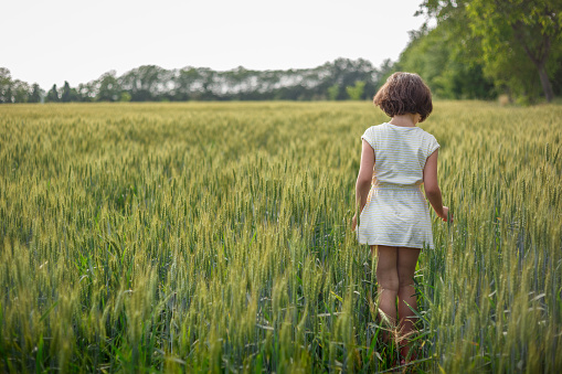 back view of girl with short dark hair in striped dress standing in green wheat field