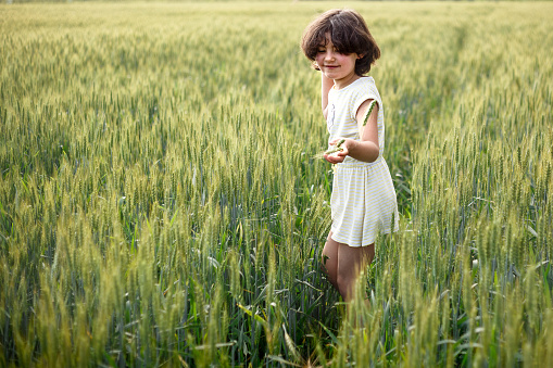 girl with short hair in striped dress smiles standing at wheat field