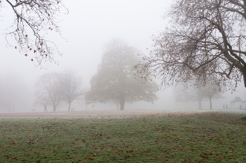 London, United Kingdom, 11 December 2022:  Thick fog in the early morning as people walking in London ParkLondon, United Kingdom, 11 December 2022:  Thick fog in the early morning as people walking, jogger run in London Park