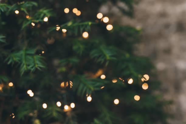 istock Blurred spruce branches with Christmas lights on a grey background. 1450393989