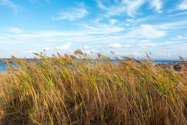 istock A calm cove in the Aegean Sea 1450397787