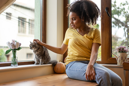Young afro woman at home, sitting to the window, petting her cat. Autumn mood