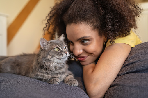Young afro woman at home, petting  her domestic cat, which is laying on the sofa