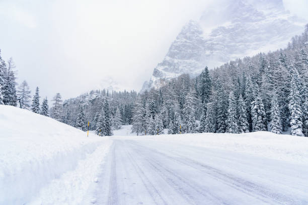 istock Snowy mountain pass during a heavy winter snowfall 1450399816