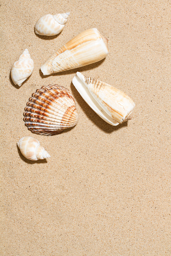 Stock photo showing close-up view of a pile of seashells with a starfish surrounding a pink quartz heart standing up in the sand on a sunny, golden beach with sea at low tide in the background. Romantic holiday and honeymoon concept.