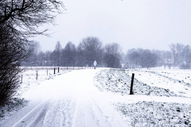 istock Winter snowy forest. Trees in the snow. 1450406992
