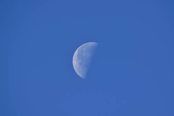 istock Craters on the surface of a crescent moon 1450410341