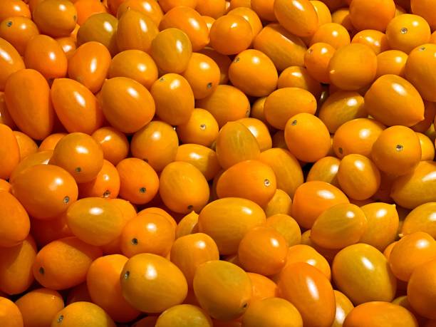 istock Cherry tomato yellow fresh vegetables. 1450415864