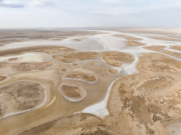 istock Natural shapes and textures on lake 1450419074