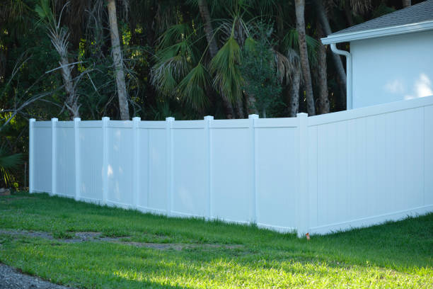 istock White plastic fence for back yard protection and privacy 1450419481