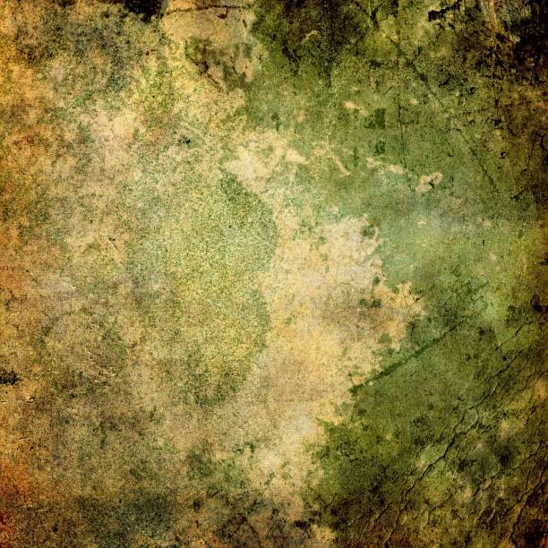istock Grunge wall texture - perfect for background 1450420325