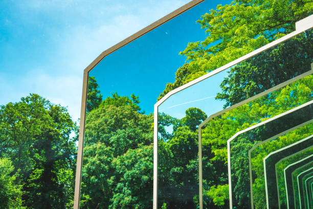 reflection of trees - mirror pattern imagens e fotografias de stock