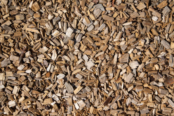 istock Bunch of wood chip on frame 1450426521