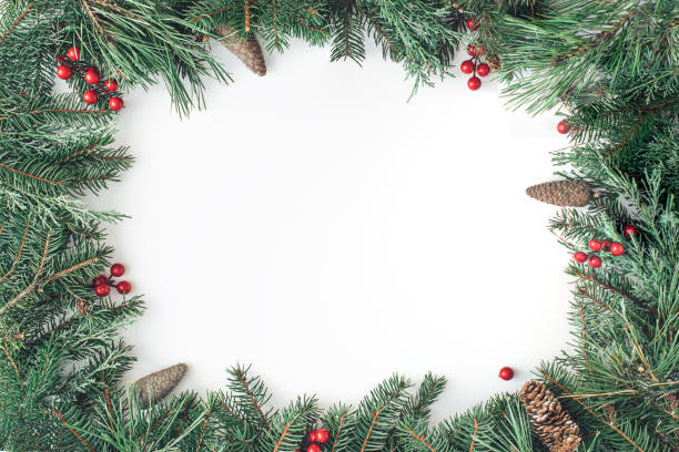 istock Nature Christmas frame made with red berries and colorful pine branches on white background. Minimal New Year's and Holiday concept. Flat lay. Copy space. 1450426868