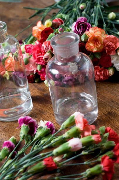 istock Beauty in nature. 1450428318