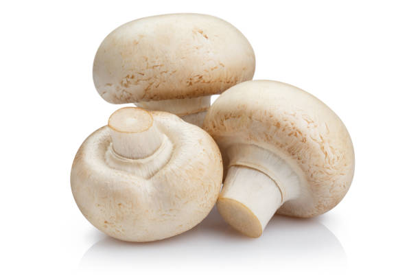 istock Fresh champignon mushrooms on white 1450428447