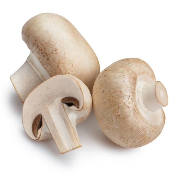 istock Fresh champignon mushrooms on white 1450428468