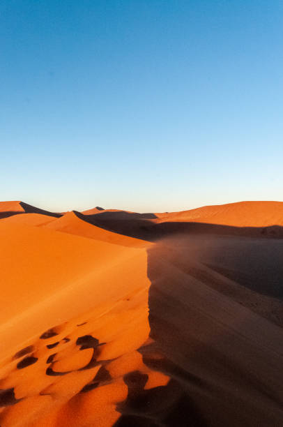 istock Climbing Dune 45 at sunrise 1450430471
