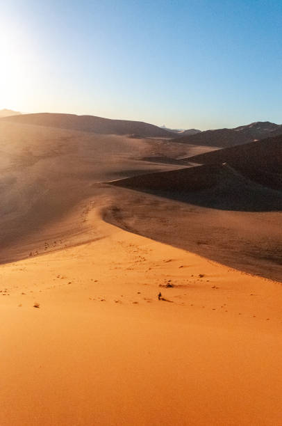 istock Climbing Dune 45 at sunrise 1450430506