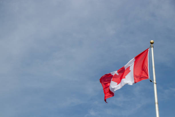 istock Canadian flag flying in the wind 1450436354