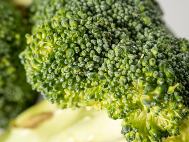 istock Broccoli on a white background. Head of broccoli. 1450438292