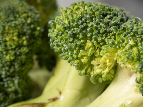 istock Broccoli on a white background. Head of broccoli. 1450438306