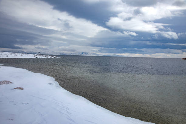 Snow-covered shore of the lake in winter