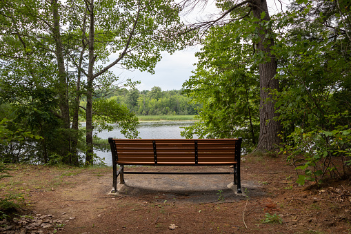 Empty wooden bench in the park