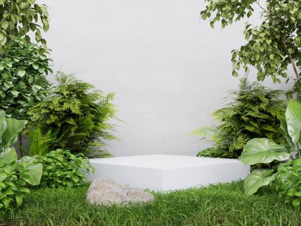 White cube pedestal in tropical forest for product presentation and white plaster wall.