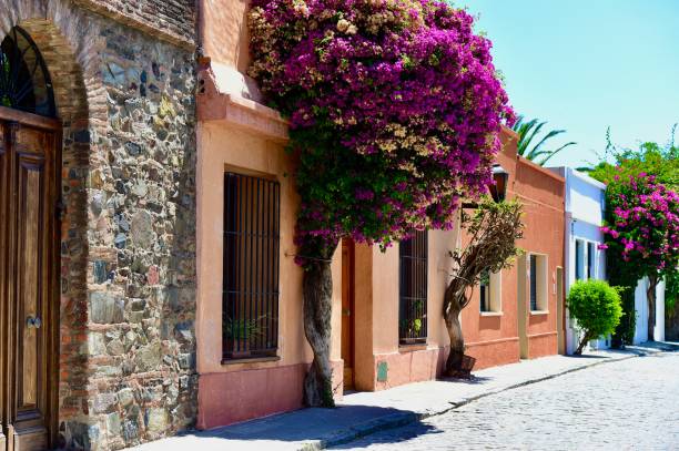 istock Colonia del Sacramento, Uruguay 1450446269
