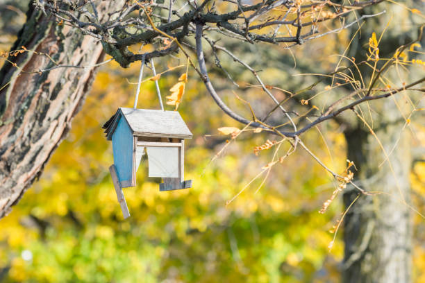 istock Broken bird feeder hanging on a branch 1450454157