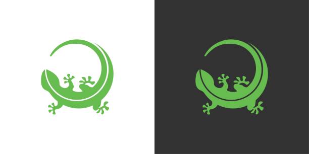 illustrations, cliparts, dessins animés et icônes de vecteur de conception de logo de lézard. icône de lézard. - salamandre