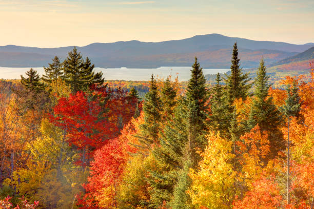 istock Autumn in Rangeley, Maine 1450462568