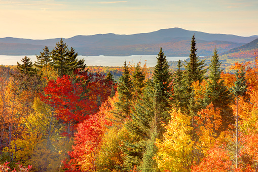 Rangeley is a town in Franklin County, Maine, United States. Rangeley is the center of the Rangeley Lakes Region, a resort area.