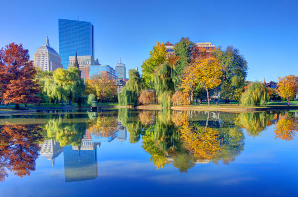 istock Autumn in the Boston Public Garden 1450462586