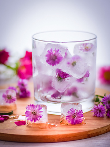 Ice Cube with Purple Flower in Still Life Photography