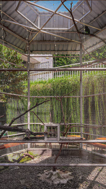 istock Large Outdoor aviary for exterior design 1450477665