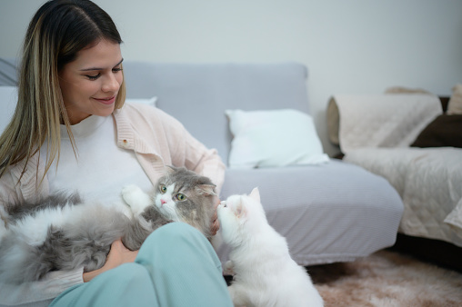 A young woman works at home while a white Persian cat snuggles alongside to encourage his master
