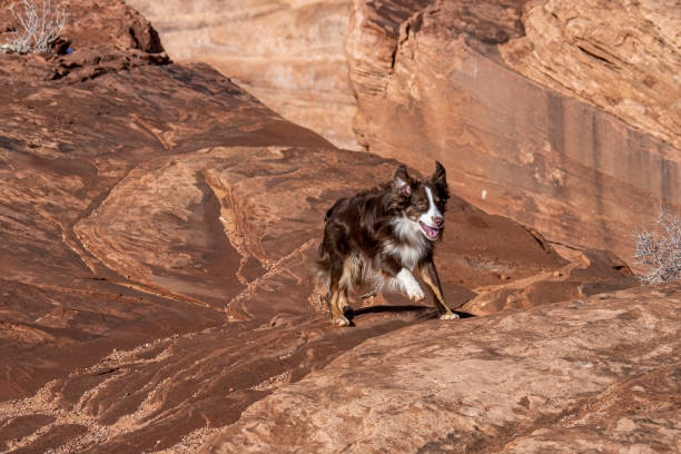 istock Horseshoe Bend in the winter 1450489367