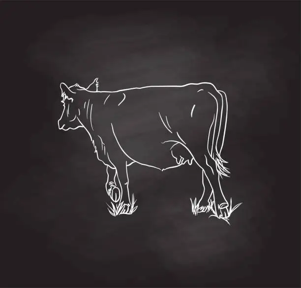 Vector illustration of Cow In The Grass Blackboard