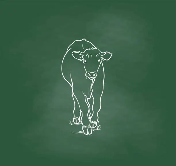 Vector illustration of Little Cow Chalkboard