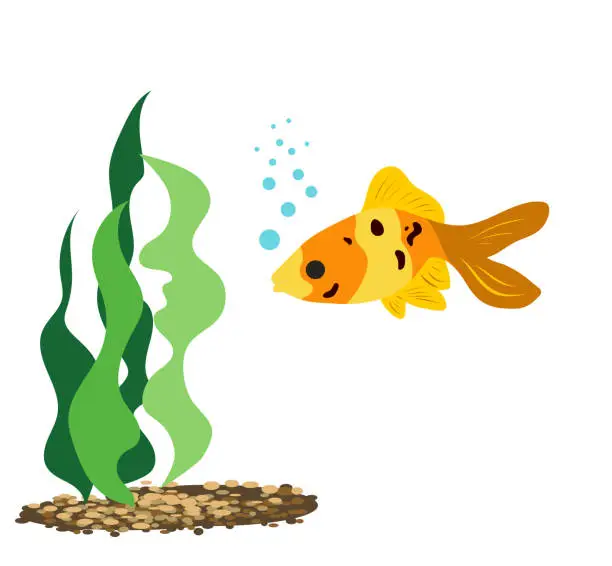 Vector illustration of Lucky Little Gold Fish Golden Yellows