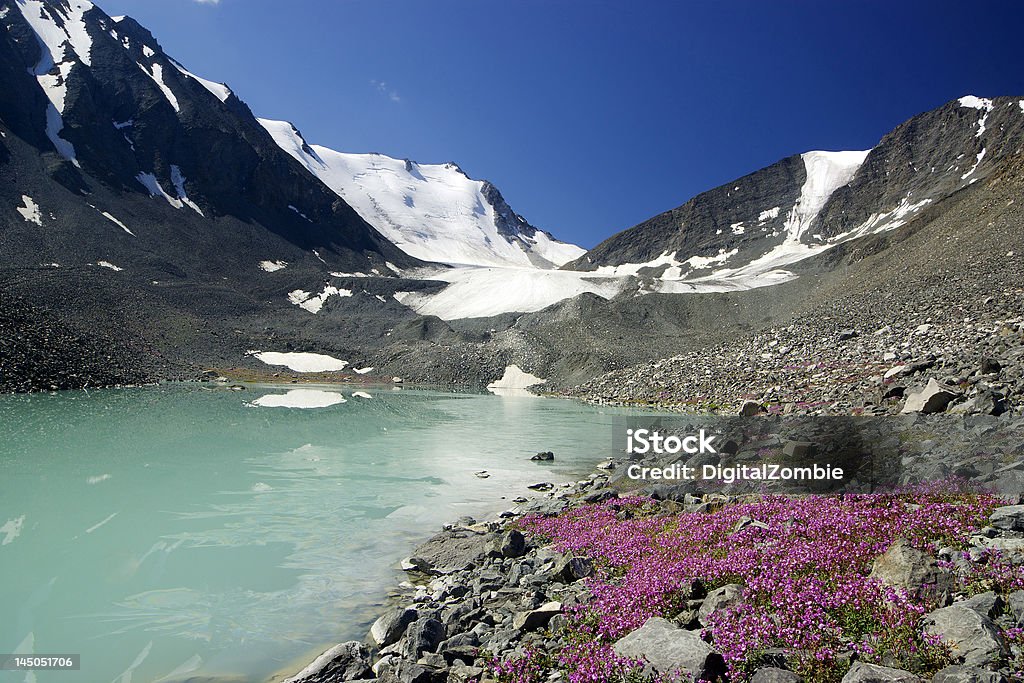 mountain lake et de fleurs - Photo de Beauté de la nature libre de droits