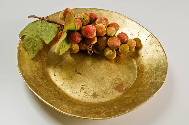 Veludo uvas em gold platter - foto de acervo