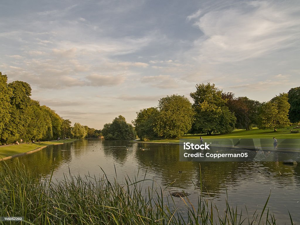 St Albans Park View across pond in St Albans Cathedral Park.  Hertfordshire Stock Photo