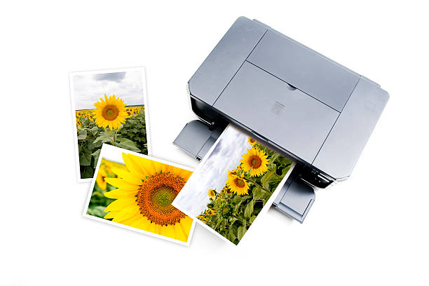istock Photo of a printer printing sunflowers 145053429