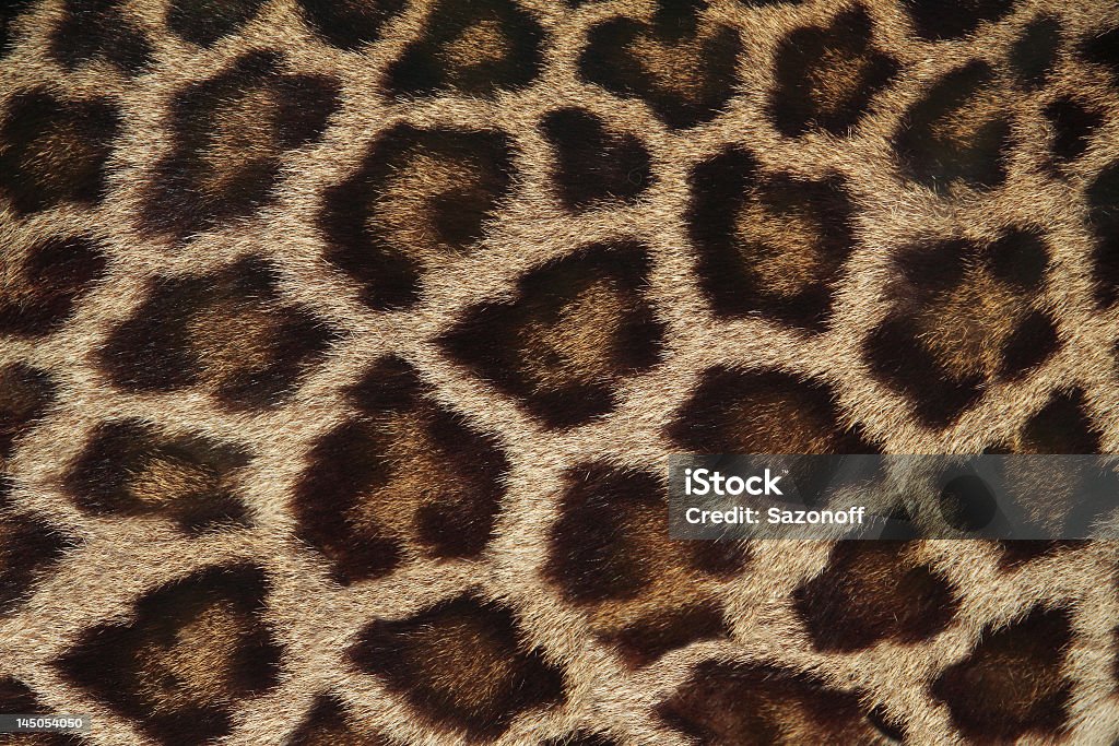 Textura de Pele de Leopardo - Foto de stock de Amarelo royalty-free