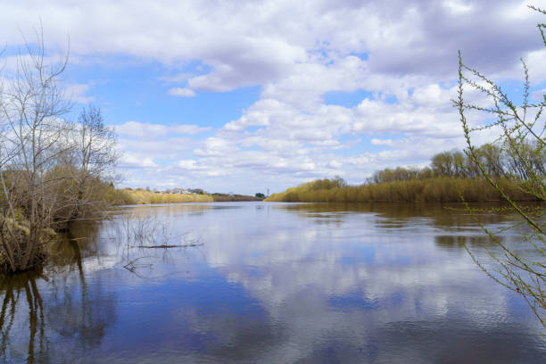 River with cloudy skies and willows growing along the shore in spring or early summer. beautiful sky